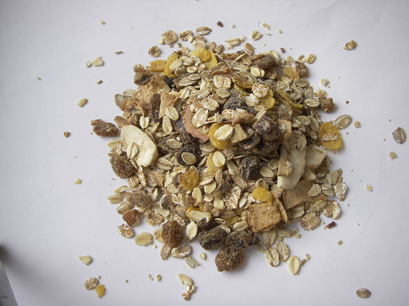 Le Muesli : Le Meilleur Allié du Petit-Déj Lyophilisé