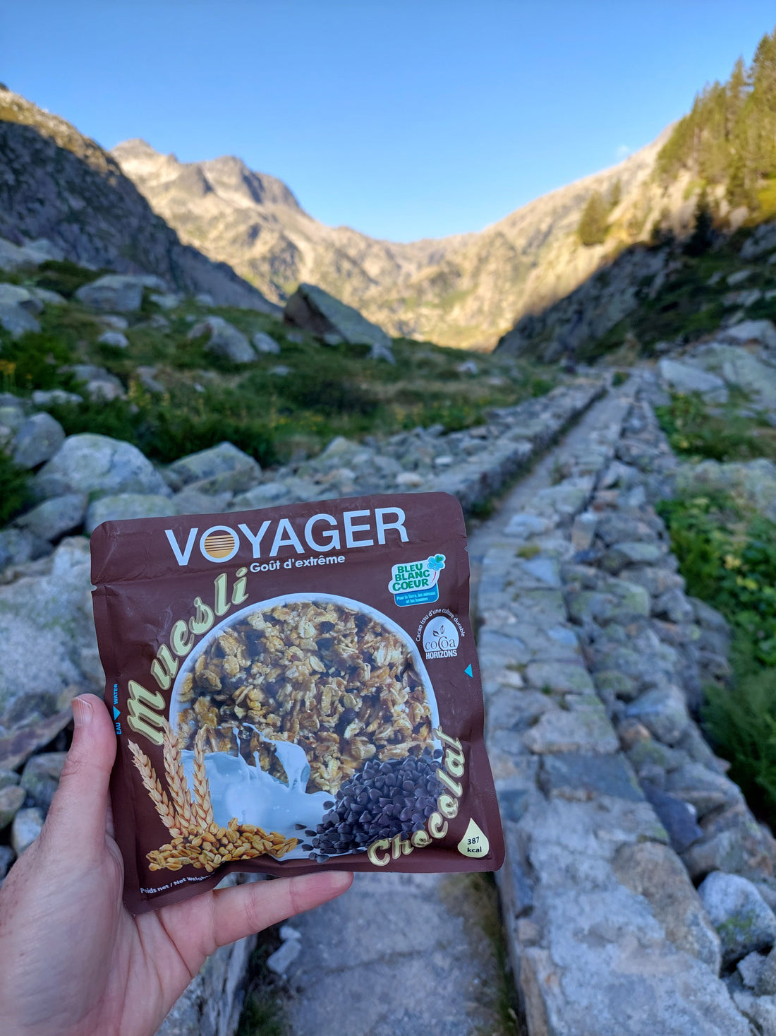 Petit-déjeuner lyophilisé : le repas le plus important de la journée