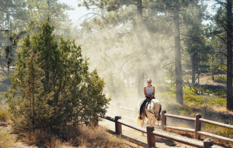 Une balade avec son cheval VOYAGER Nutrition