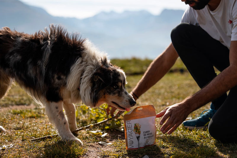 Un randonneur avec son chien lors d'une cani-rando